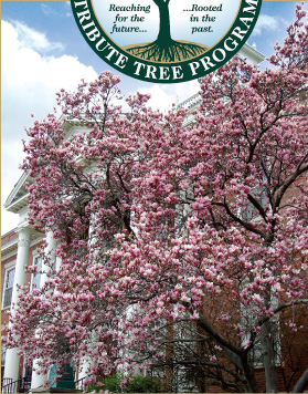 tribute_grows-benefits