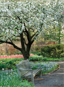 tribute_grows-benefits_4